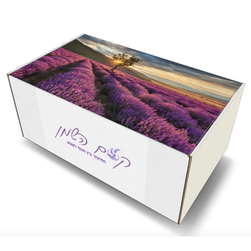 linkme.co.il
שירי סמואלוב | קסם השמן | קוסמטיקה טבעית | שמן לבנדר | סדנאות קוסמטיקה | מוצרים טבעיים לטיפוח | שמני מרפא | קרם לחות טבעי | סבון טבעי






